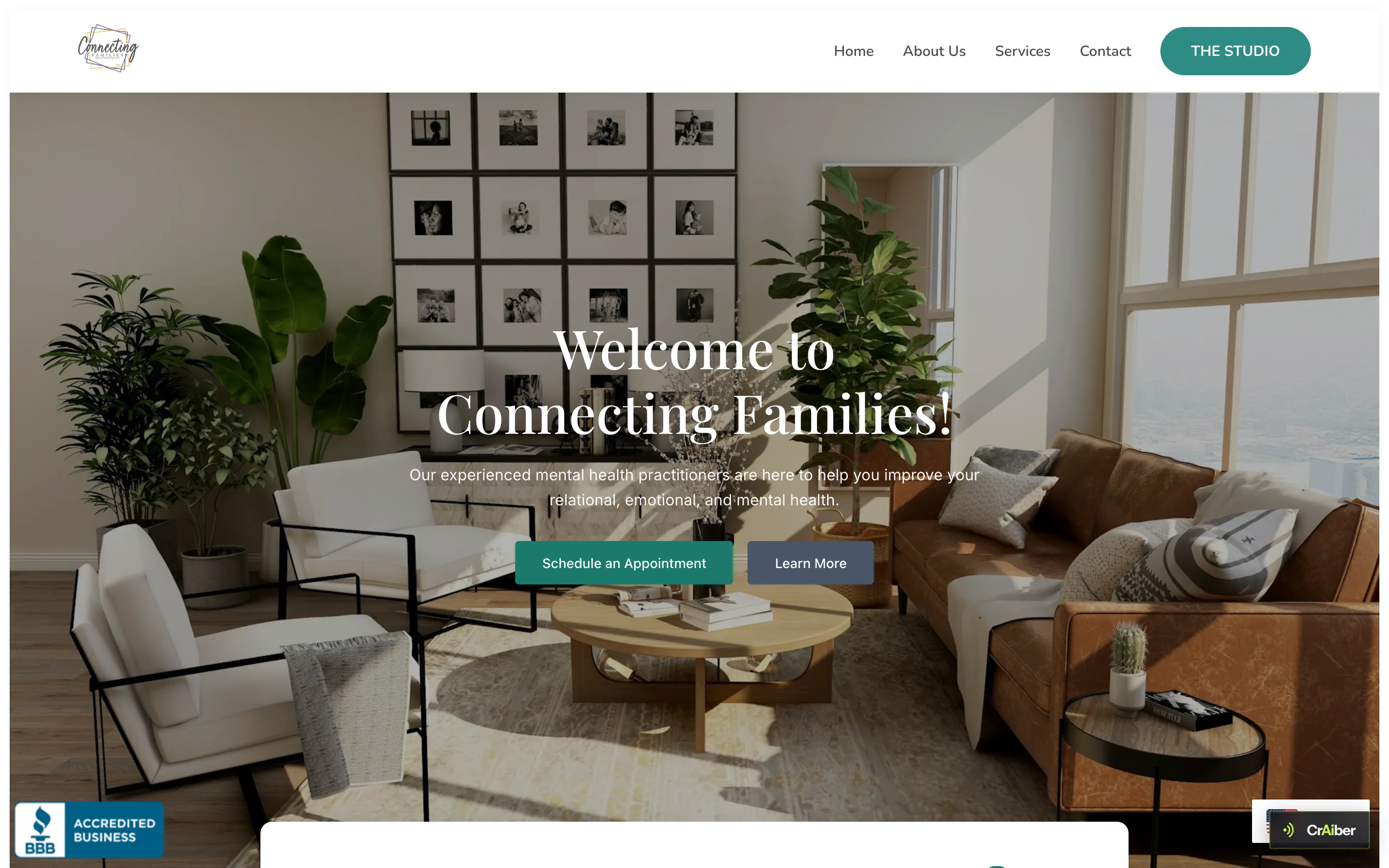 Sitio de Connecting Families